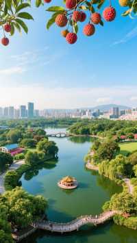 都市湖畔慢生活指南