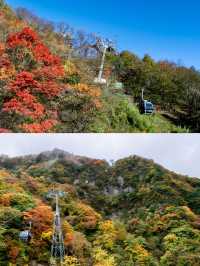 光霧山紅葉暴擊！自由行抄作業