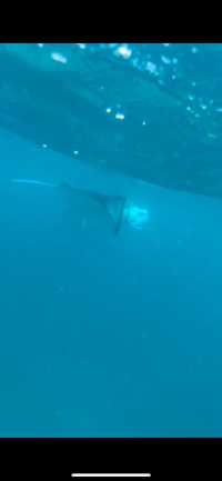 Family Dive Adventure in Vilamendhoo