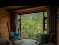 秋日竹林書香的靜謐時光