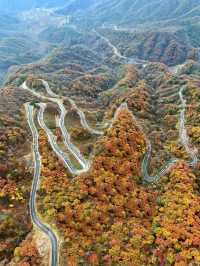 武漢2h直達！闖入大別山油畫般的秋天