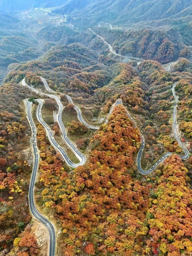 武漢2h直達！闖入大別山油畫般的秋天