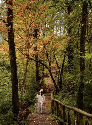 I thought the autumn in Qingcheng Mountain was beautiful enough, until I went to Longcang Valley