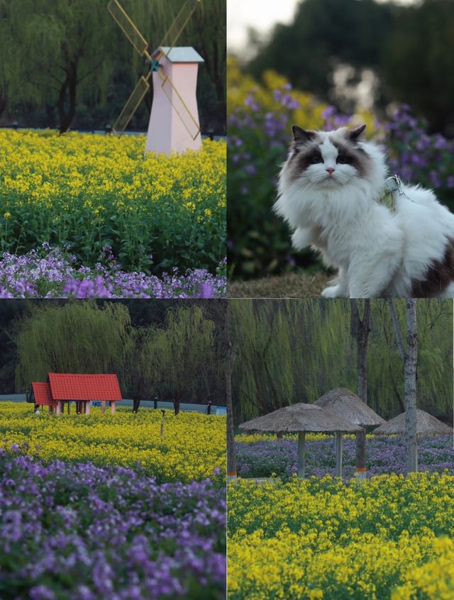 柏臨公園旅拍全攻略