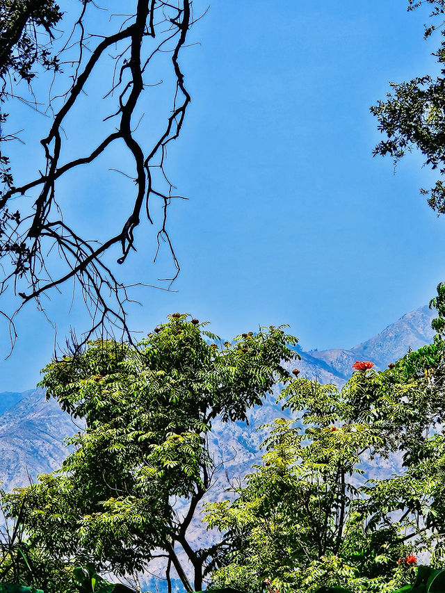 洛杉磯植物園 孔雀園 蓋蒂中心 天文台