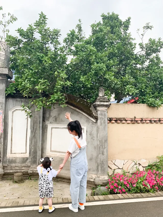 南岸美村，一個很美的小村莊