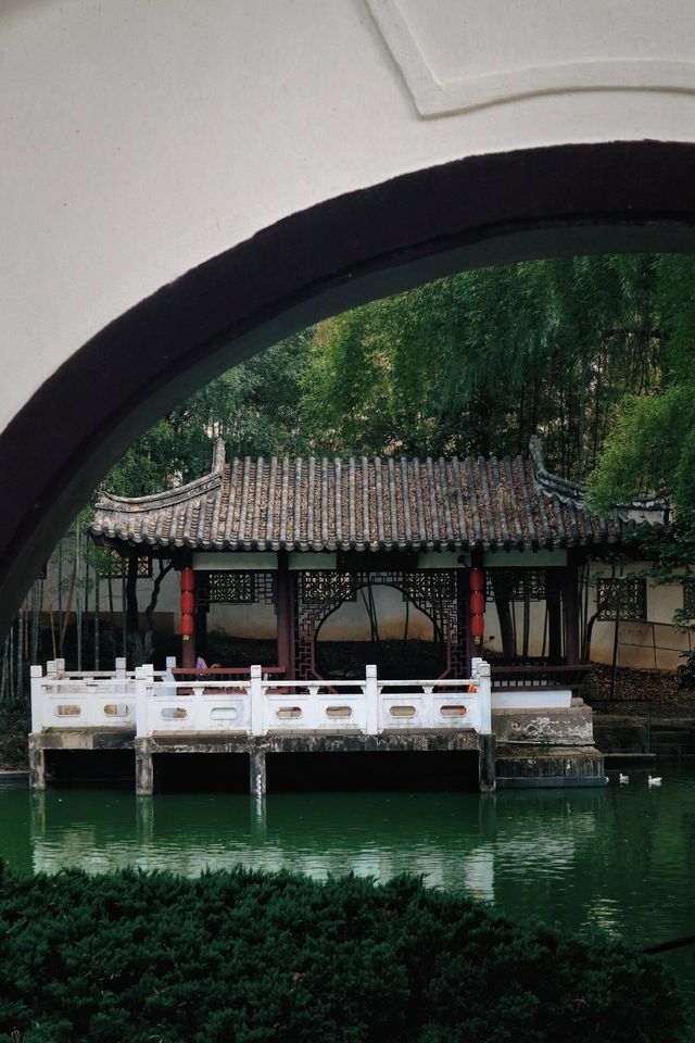 南京隱秘的文藝綠洲|竹林、墨香與一杯咖啡的午後 南京隱秘的文藝綠洲|竹林、墨香與一杯咖啡的午後