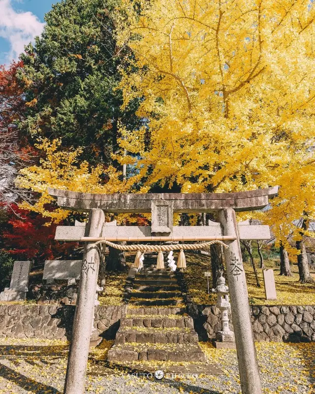 Japan in Autumn｜The season of momiji hunting is here!
