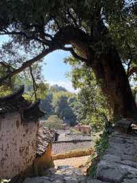 麗水松陽古村｜深藏山坳有人家 時光在此慢下來
