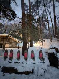 飛驒民俗村的那場大雪