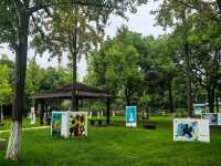 寶子們快來!太湖湖濱國家濕地公園免費啦!