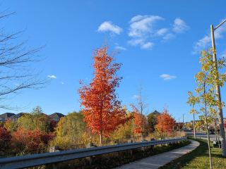 ユニオンビルで秋を満喫