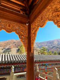 五臺山祈福全攻略|赴一場文殊之約,願六時吉祥