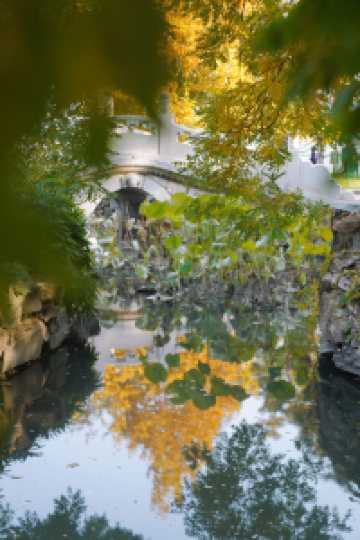 北京旅遊｜北海公園，紅牆黛瓦的最美金秋