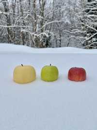 日本東北秘境！冬季限定小眾路線大公開