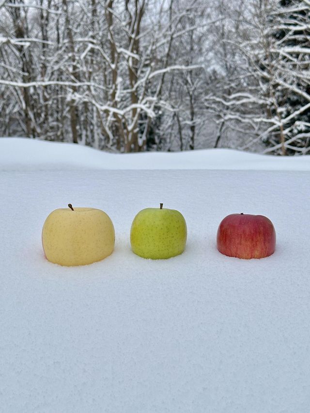 日本東北秘境！冬季限定小眾路線大公開