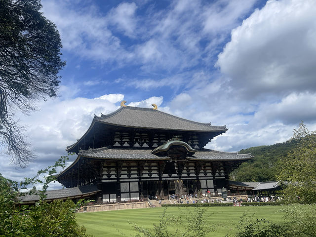 奈良東大寺深度遊千年古剎美到窒息！