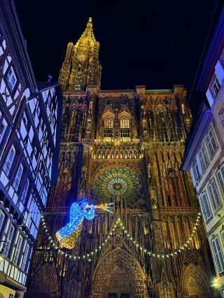 알자스 크리스마스 전세차 투어｜현실 동화 마을로의 모험