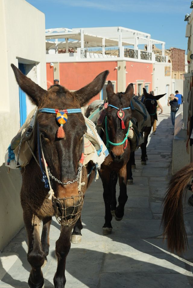 聖托里尼・伊亞小鎮遊記｜Oia