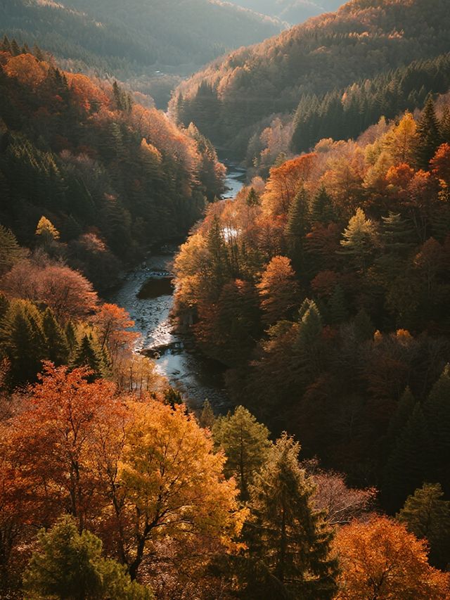 秋日遛娃私藏地！光霧山紅葉美到心巴上