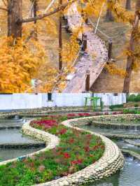 秋日窯湖追光指南