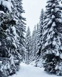 這裡不是瑞士!黑山冬季仙境美哭我