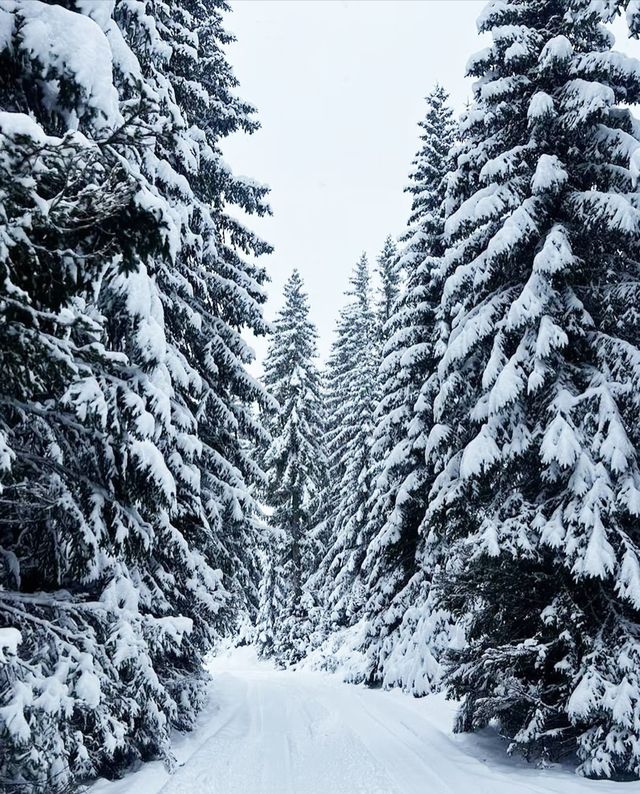 這裡不是瑞士!黑山冬季仙境美哭我 這裡不是瑞士!黑山冬季仙境美哭我
