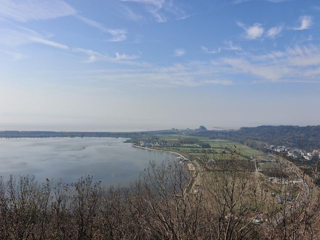 挖到一條寶藏秋遊採橘子路線！