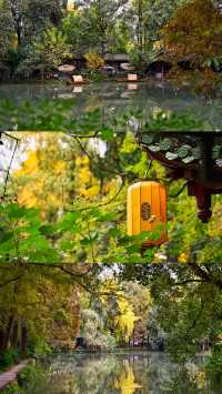 成都 1h，8 元的秋日崇州罨畫池，人間值得