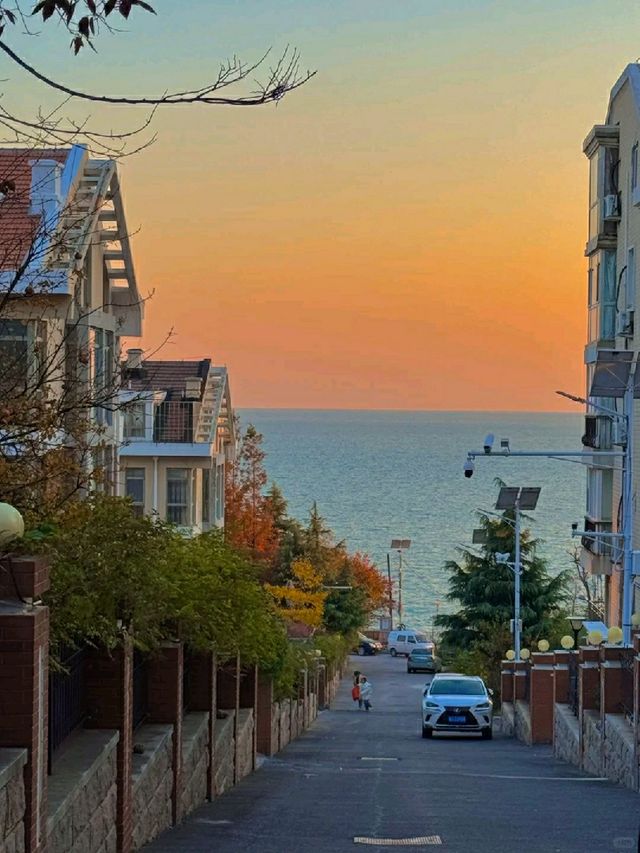 제주도 아닌 청도에서 만난 한겨울 파란 멜로🌅