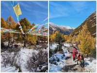 川西被低估的秋日秘境·亞拉雪山（收藏級攻略，建議先碼後看