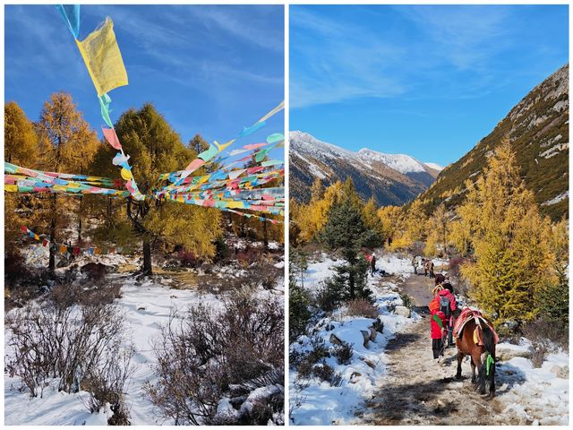 川西被低估的秋日秘境·亞拉雪山（收藏級攻略，建議先碼後看