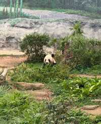 【港澳親子遊 溜娃聖地！】