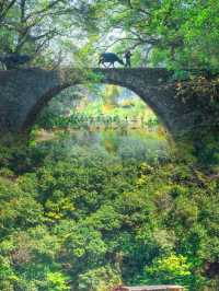 婺源秋色震撼人心！我的2天紅楓秘境打卡攻略