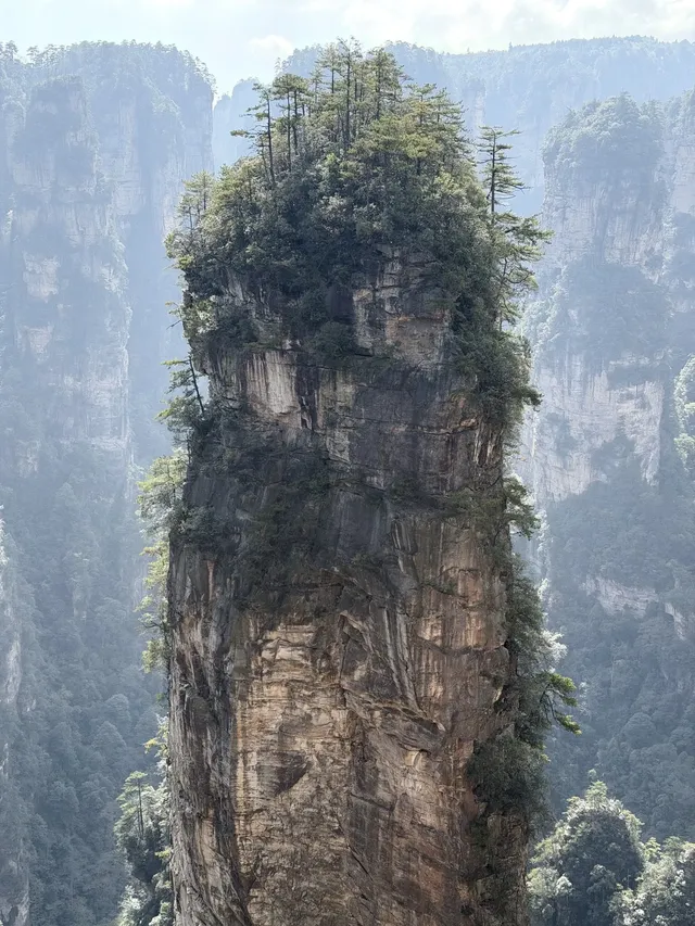 [11.05]跌宕起伏的張家界森林公園·攻略參考