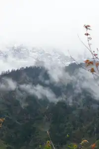 人生第一次帶相機雨林徒步!