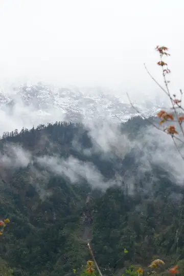 First time hiking in the rainforest with a camera!