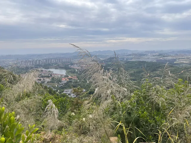 泉州好去處14/100｜新建空中步道路線