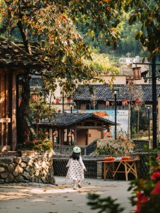 屏南で！！柿柿如意の小さな世界に飛び込んだ