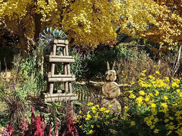 逛香山不費腿攻略。 逛香山不費腿攻略。