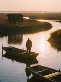 杭州灣濕地公園親子遊!詩經觀鳥+遛娃寶藏地