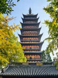 常熟｜興福禪寺紅楓，才是江南秋色的天花板！