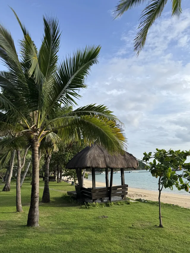 4個被低估的海島盲盒玩法