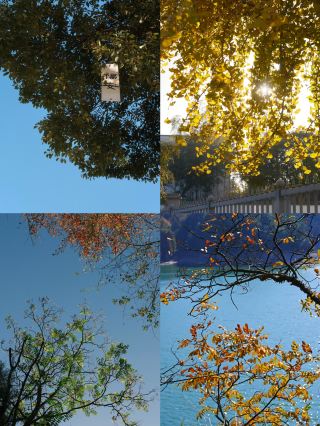 The Ultimate Autumn Escape Near Shanghai: 5 Layers of Romantic Hits on the Genglou Ancient Trail