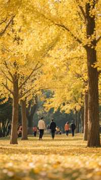 這裡的風景如詩如畫!