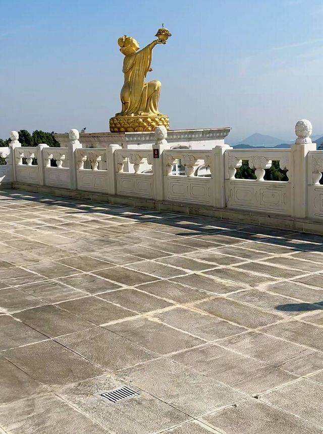 講真！花一百多去看個大金佛值不值？大實話全在這