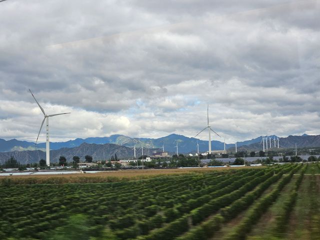 風從這裡入京城 風從這裡入京城