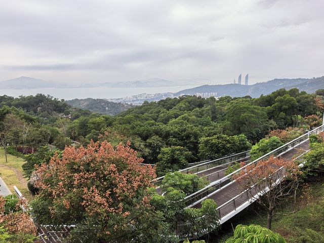 2025廈門徒步之山海步道全程