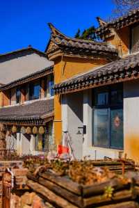 土瓜沖的“文藝復興”