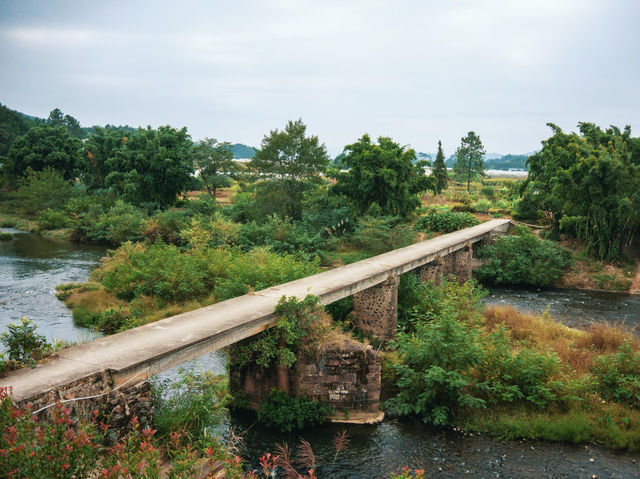 喜歡這樣的老巷，遠離城市的繁華